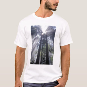 T-shirt NA, États-Unis, Californie. Del Norte Coast State