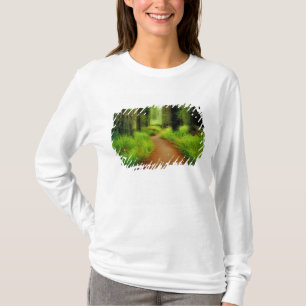 T-shirt NA, États-Unis, Californie, Jedediah Smith Redwood