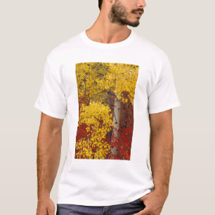 T-shirt NA, États-Unis, Washington, Wenatchee National For