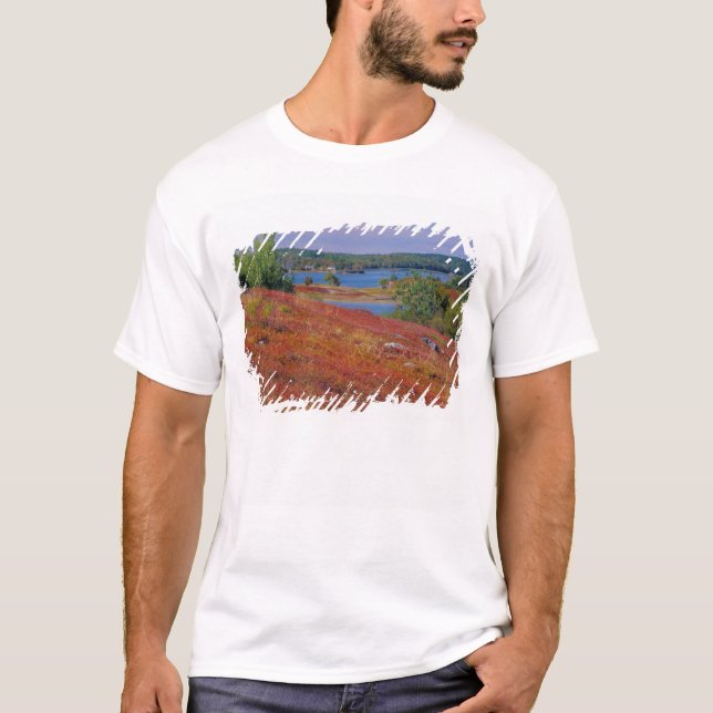 T-shirt NA, USA, Maine. Blueberry Barrens. (Devant)