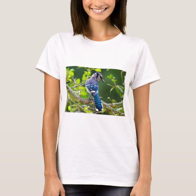 T-shirt Nature Photographie Shy Blue Jay Vêtements Cadeaux (Devant)