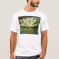 Nénuphar