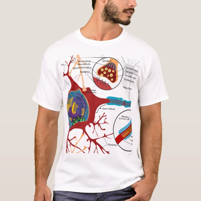 T-shirt Nerf de neurones sain (Devant)