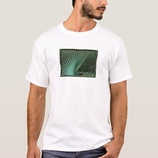 T-shirt Neverglades (Devant)