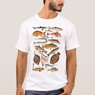 T-shirt newartsweb - tellement beaucoup plus de poissons,