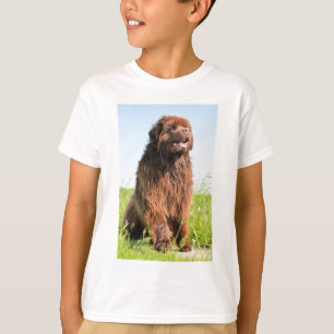 T-shirt newfie sitting.png