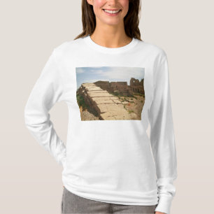T-shirt Nilomètre, de la morgue