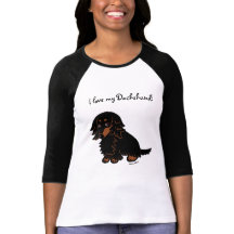 Noir et Tan Long Haired Dachshund 3