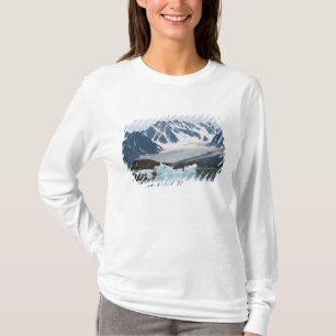 T-shirt Norvège, Glacier qui recule et iceberg