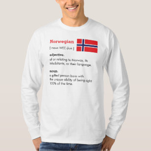 T-shirt Norvigen Definition Tee