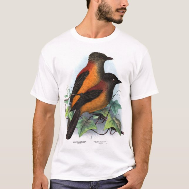 T-shirt Nouvelle-Guinée : Deux espèces de Pitohui (Devant)