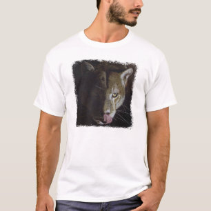 T-shirt Nuit de puma