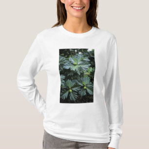 T-shirt Océanie, Pacifique Sud, Polynésie française,