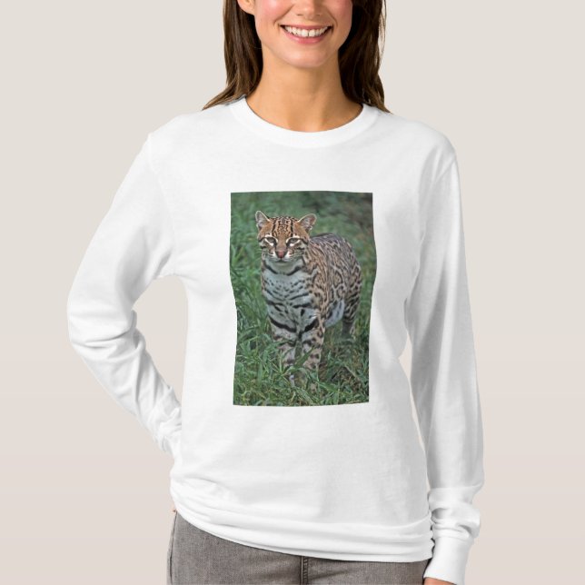 T-shirt OCELOT (Leopardus pardalis) AMÉRIQUE CENTRALE (Devant)