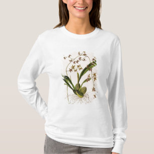 T-shirt Odontoglossum Hastatum