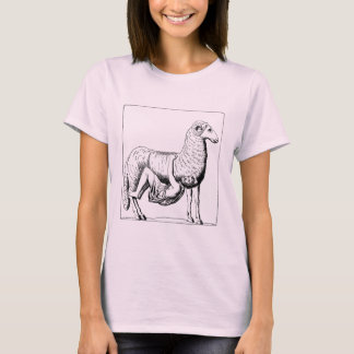 T-shirt Odysseus s'échappe