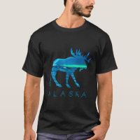 Oie D'Alaska Avec Scène De Neige Aurora Borealis
