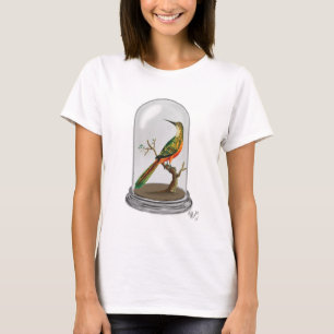 T-shirt Oiseau dans cloche en verre