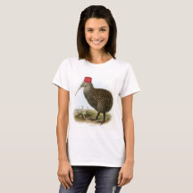 Oiseau de kiwi portant le cru absurde de Fez
