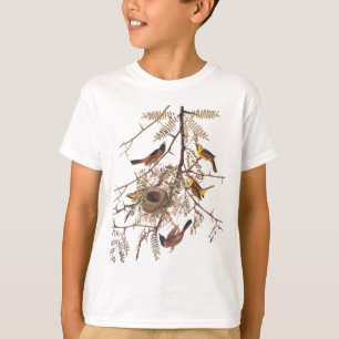 T-shirt Oiseau d'oriole du verger d'Audubon dans l'arbre d