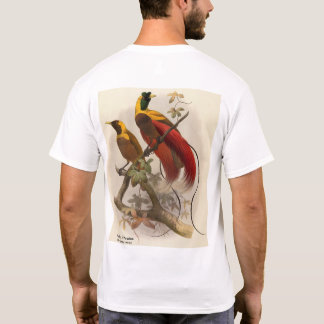 T-shirt Oiseau rouge du paradis, oeuvres d'art avant et in