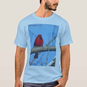 T-shirt Oiseaux cardinaux