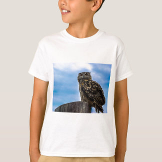 T-shirt Oiseaux de hibou Plumes Animaux Nature Destinée Pa