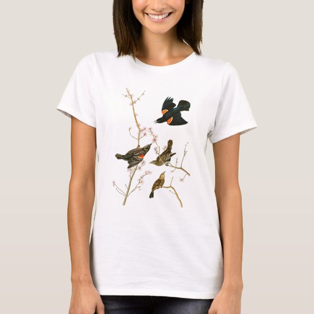 T-shirt Oiseaux de John Audubon de merle de marais de (Devant)