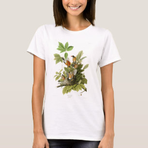 T-shirt Oiseaux de Robin John James Audubon d'Américain de