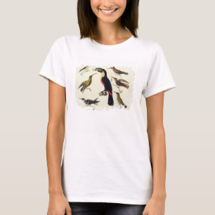 T-shirt Oiseaux indigènes, y compris le toucan (centre),