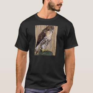 T-shirt Oiseaux sauvages : Faucon Rouge-Coupé la queue