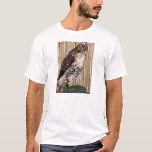 T-shirt Oiseaux sauvages : Faucon Rouge-Coupé la queue