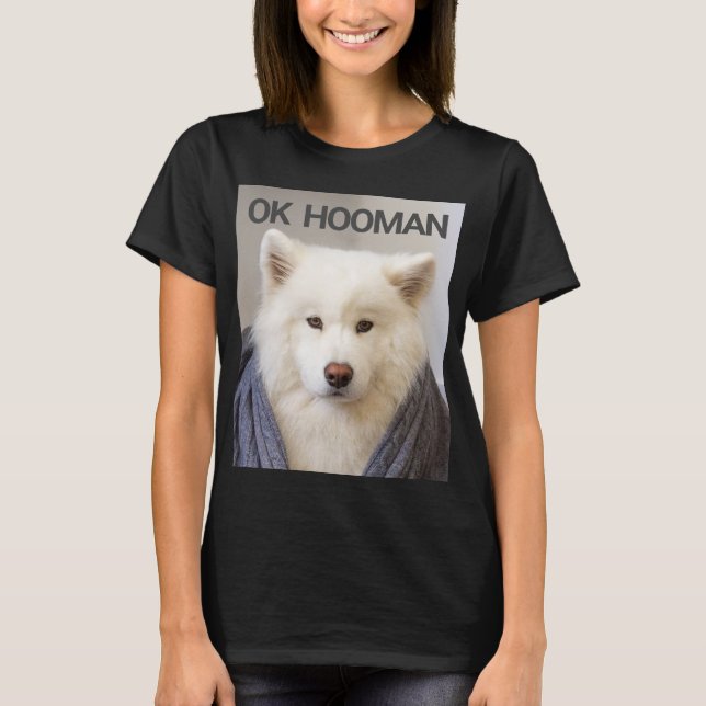 T-SHIRT OK HOOMAN (Devant)