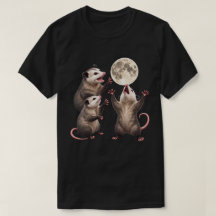 Opossum Clair de Lune Hurlement Faune Nuit Art