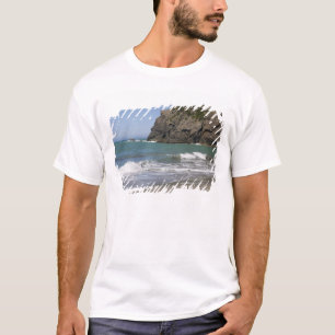 T-shirt OR, Côte de l'Oregon, Whaleshead Beach, Sud