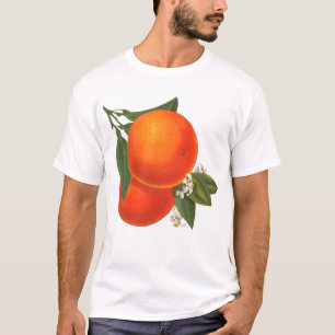 T-shirt Oranges Vintage