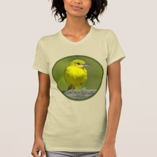 T-shirt Orchard Oriole - Photo originale