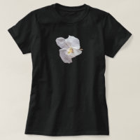 Orchidée blanche sur fond noir