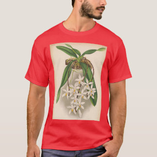 T-shirt Orchidée vintage Imprimer Sarcochilus unguiculatus