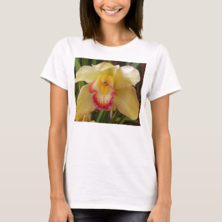 T-shirt orcid