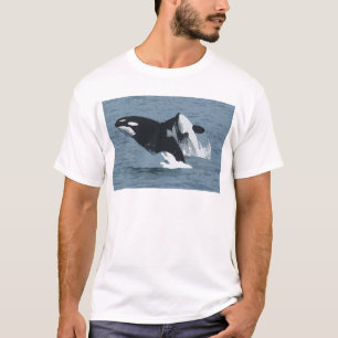 T-shirt Orka Whale