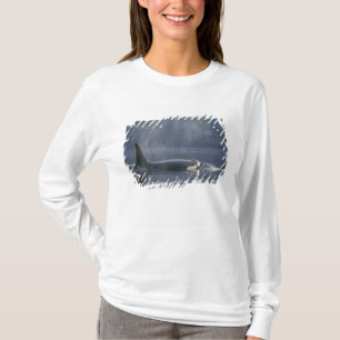 T-shirt Orque adulte femelle (Orcinus Orca), Puget