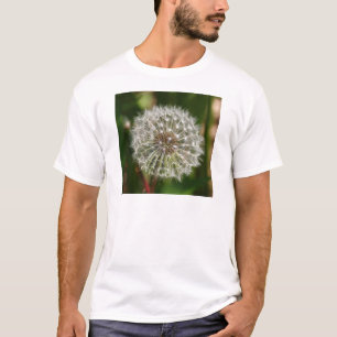 T-shirt Où jamais le vent souffle