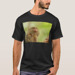 T-shirt Ouistitis pygméens