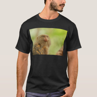 T-shirt Ouistitis pygméens