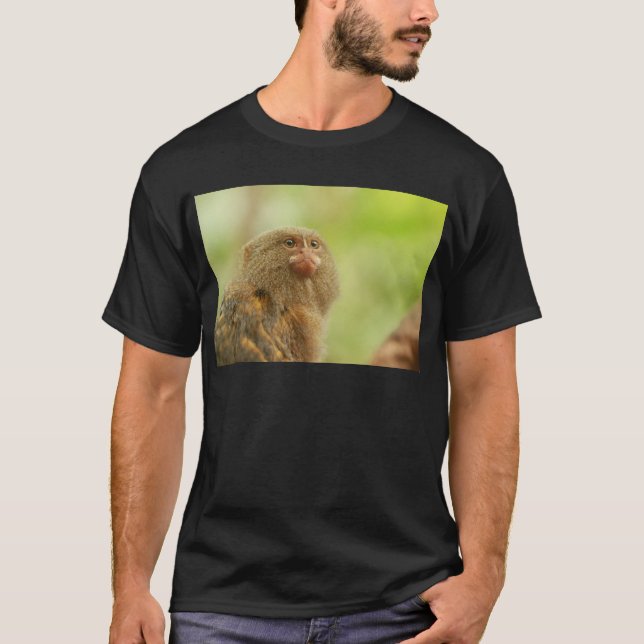 T-shirt Ouistitis pygméens (Devant)