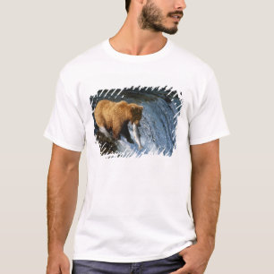 T-shirt Ours brun d'Alaska attrapant du saumon à Brooks