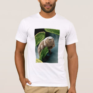 T-shirt Ours d'eau