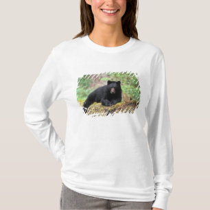 T-shirt Ours noir sur une vieille bille de bois dans la
