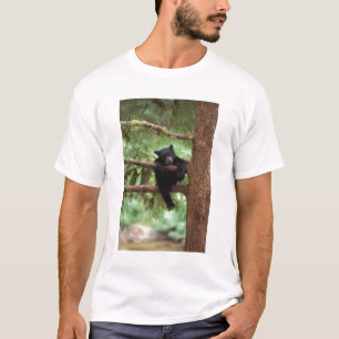 T-shirt ours noir, Ursus americanus, petit dans un arbre